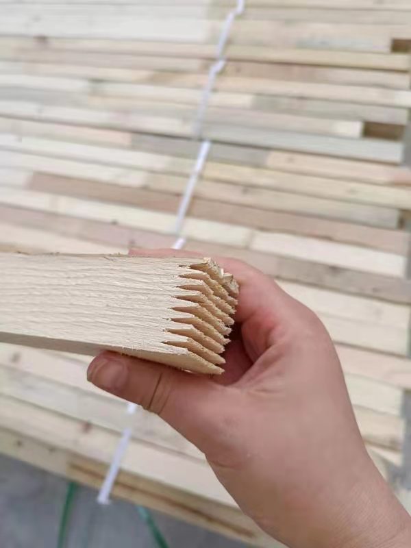 插接板厂家科普木材的分布范围