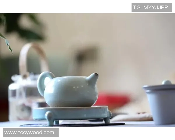 茶堂文化传承与创新探析：从古韵到现代茶生活的演变与融合