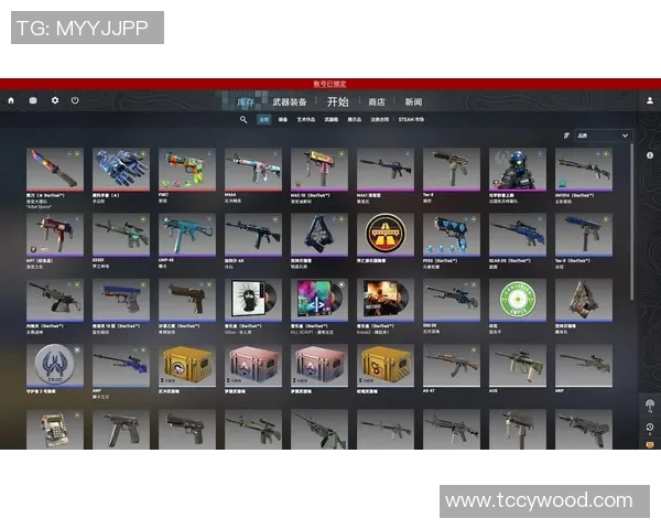 CSGO装备选购指南：适合游戏本的最佳推荐与选择技巧