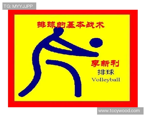 广州排球队的节奏分析与战术得失探讨