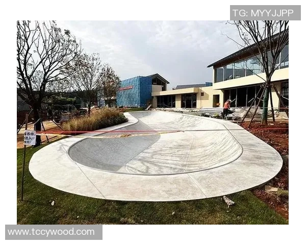 南京极限运动队赛事表现分析与经验总结探讨