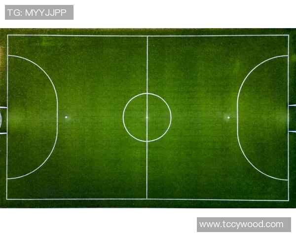 广州足球队阵地战解析:战术布局与球员配合的深度剖析
