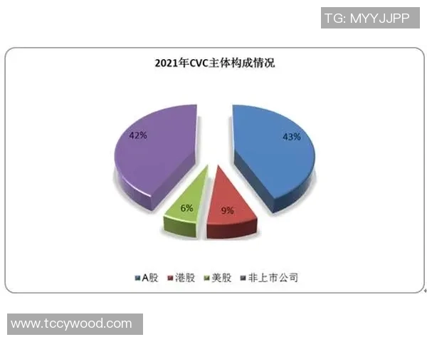 深入解析上海攀岩队实力表现的数据分析与趋势研究