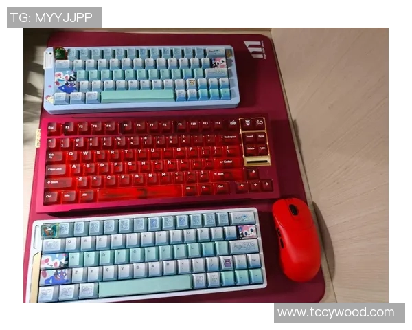 CSGO装备选购指南:如何选择适合你的游戏键盘推荐