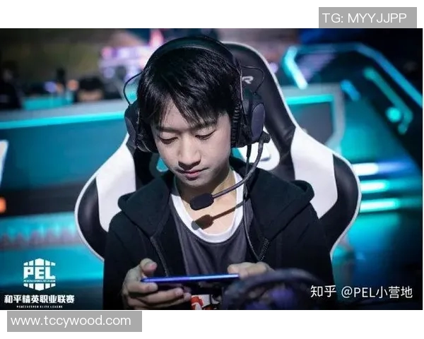 和平精英战术解析TES边路渗透体系的优势与应用探讨