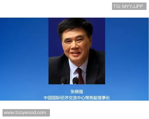 极限运动的成功秘诀张军分享他的心路历程与经验教训