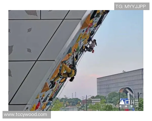 重庆攀岩队与武汉攀岩队赛后复盘力量对决的精彩瞬间与战术分析 重庆攀岩队与武汉攀岩队赛后复盘力量对决的精彩瞬间与战术分析