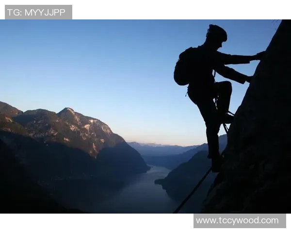 世界级运动员的奋斗历程与成就背后的努力与坚持 世界级运动员的奋斗历程与成就背后的努力与坚持