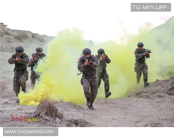 成都攀岩队区域防守体系的战术解析与实战应用研究