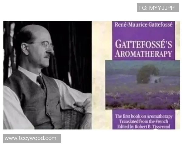 专访赵娜：探寻CSGO背后的成功秘诀与发展历程