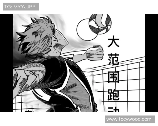 从零起步掌握排球技巧全方位指南助你成为排球高手