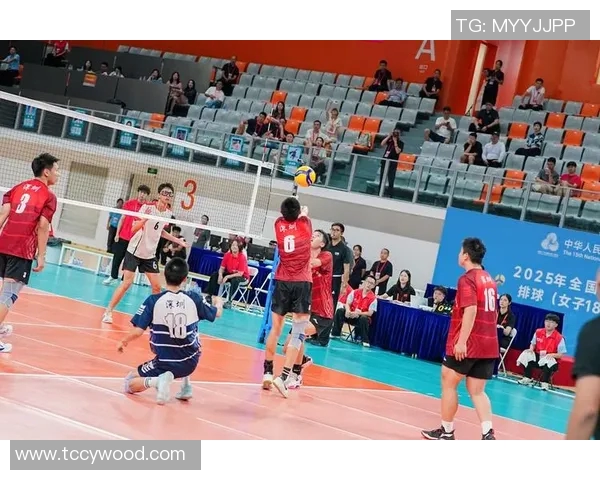 深圳排球队的节奏变革引发热议探索新战术与团队协作的未来发展