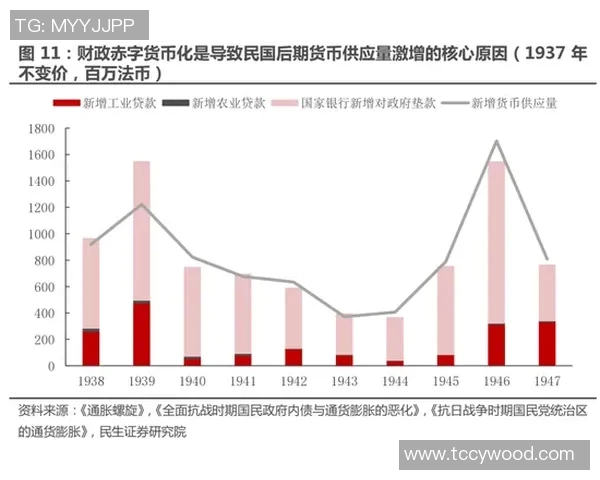 南京飞盘队运营分析：成功经验与面临挑战的全面探讨
