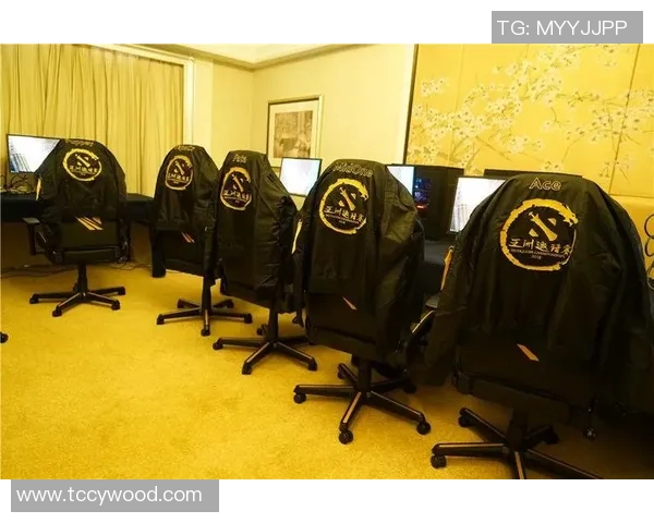 DOTA2战术解析:V5战队如何构建高效反击体系与策略 DOTA2战术解析:V5战队如何构建高效反击体系与策略