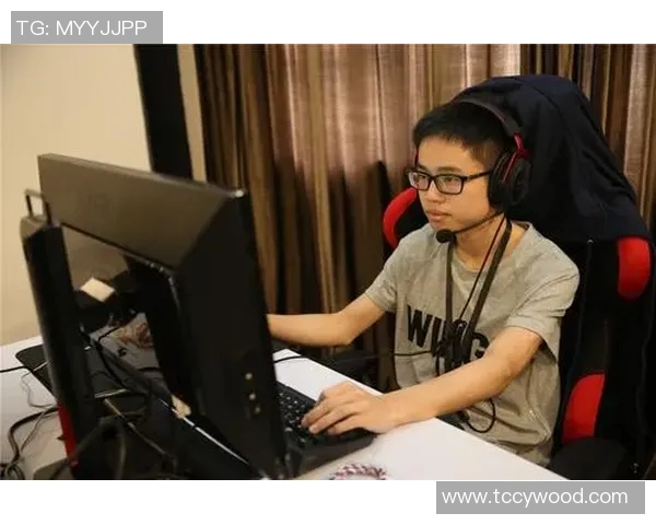 专访周磊:深入探讨DOTA2成功背后的策略与理念 专访周磊:深入探讨DOTA2成功背后的策略与理念