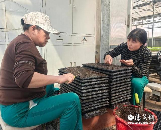 乐鱼官网陕西神木：春时播新绿 花草育苗忙(图3)