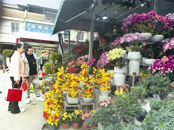 乐鱼电子万紫千红迎新春 花草市场贩卖旺(图1)