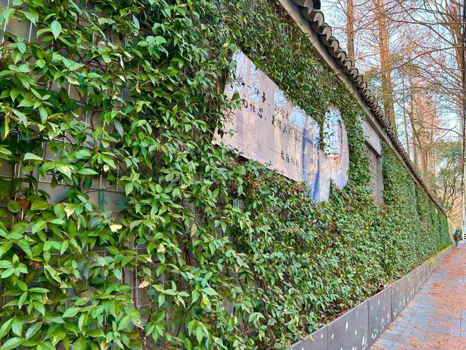 乐鱼官方网站甜爱路上榜！另有25万+新“植”入！(图1)