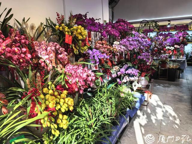 乐鱼官网厦门年花正大批上市！“00后”喜好买的是它(图2)